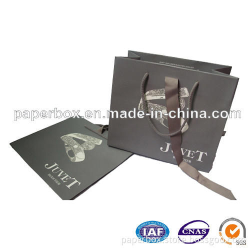 Paper Bag/Gift Bag/Paper Shopping Bag (FXS-221)